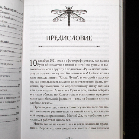 Книга Колесо Года - Календарь магических дел и праздников