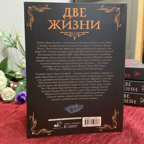 Книга Две Жизни том 1