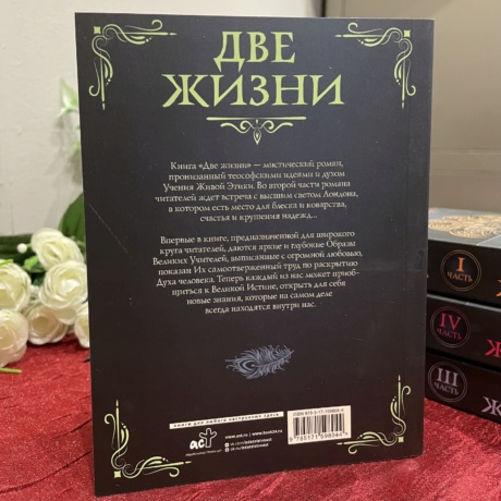 Книга Две Жизни том 2