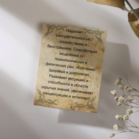 Символ предков 'Ворон'
