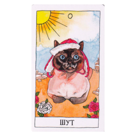 Cat Tarot. Таро Котиков